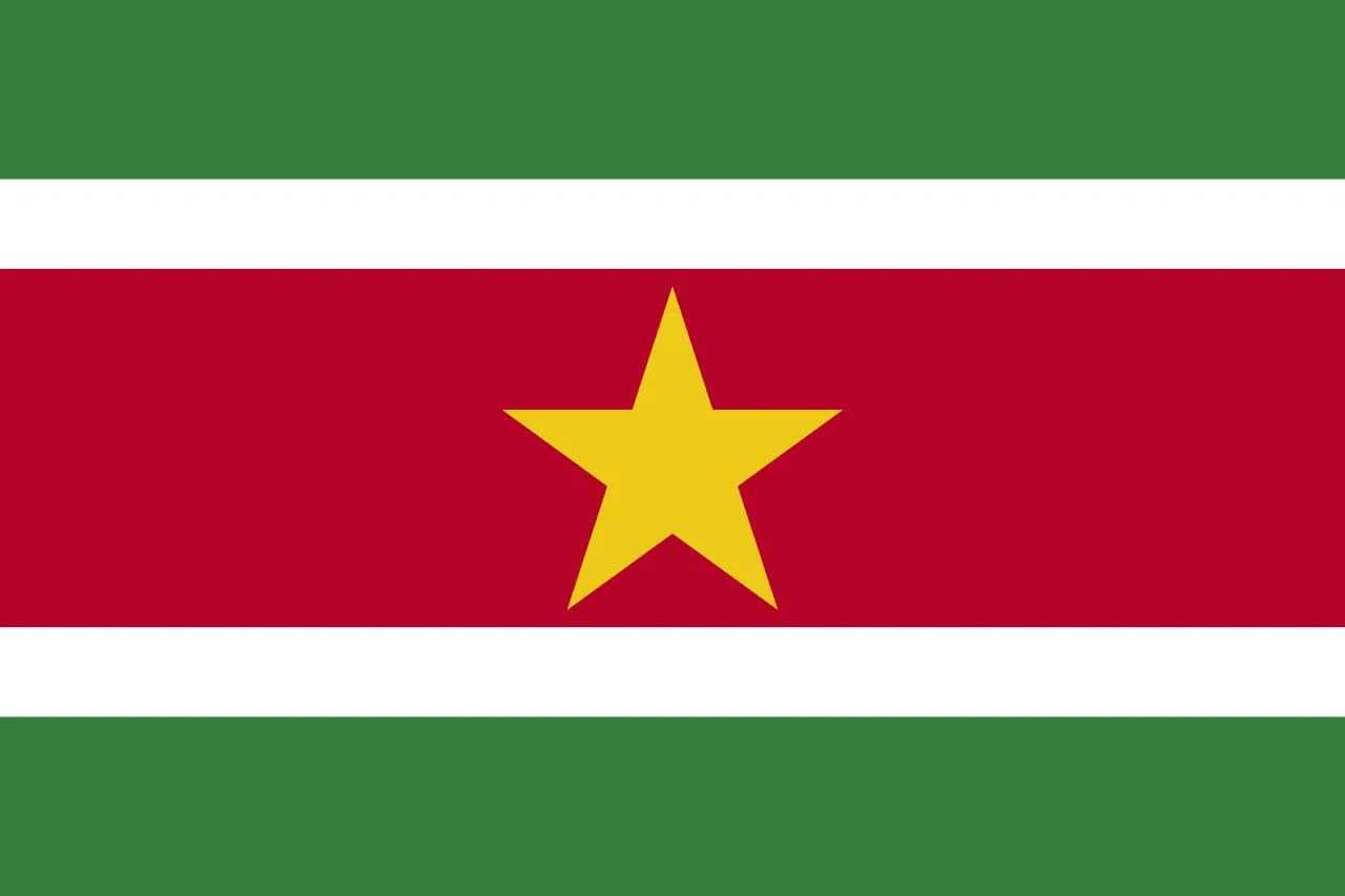 Suriname flag